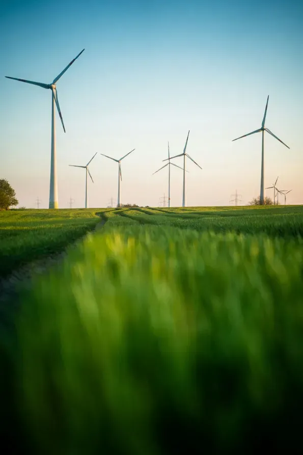 A picture of wind turbines in a field